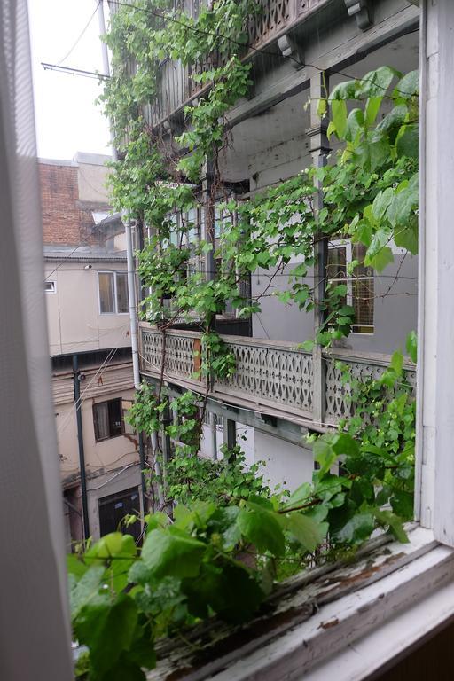 Guest House Tabukashvili 31 Tiflis Dış mekan fotoğraf